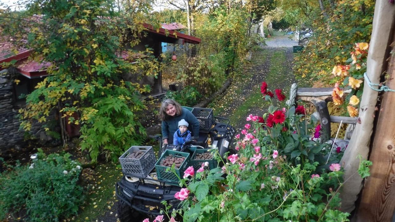 Brigitte'S Bavarian Bed Und Breakfast Millers Landing Экстерьер фото