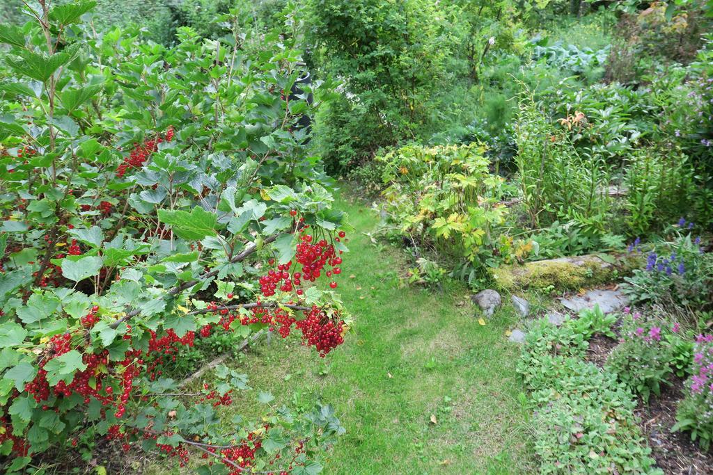 Brigitte'S Bavarian Bed Und Breakfast Millers Landing Экстерьер фото