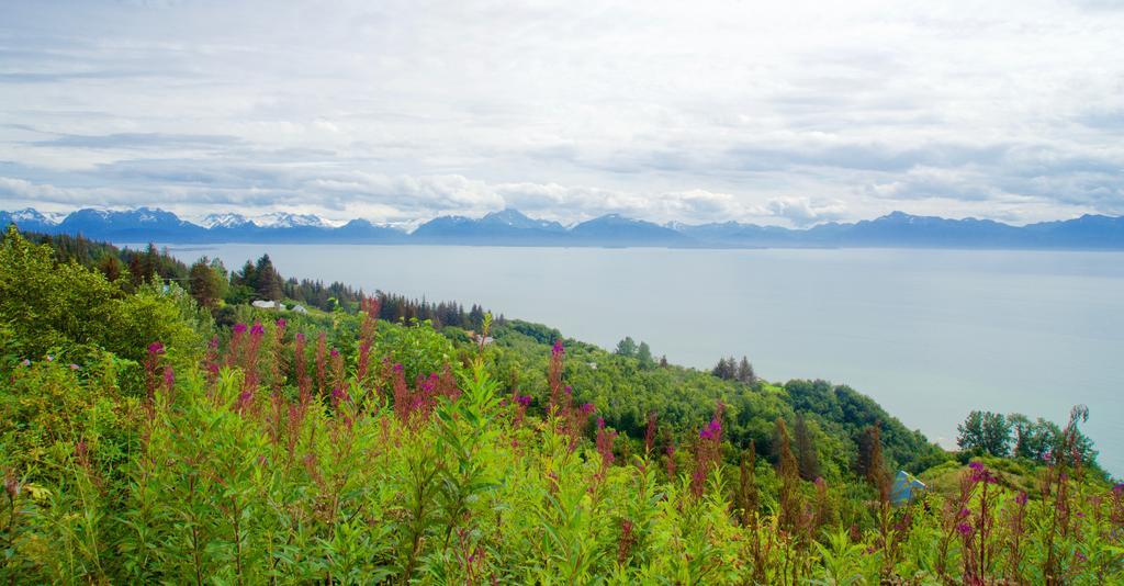 Brigitte'S Bavarian Bed Und Breakfast Millers Landing Экстерьер фото
