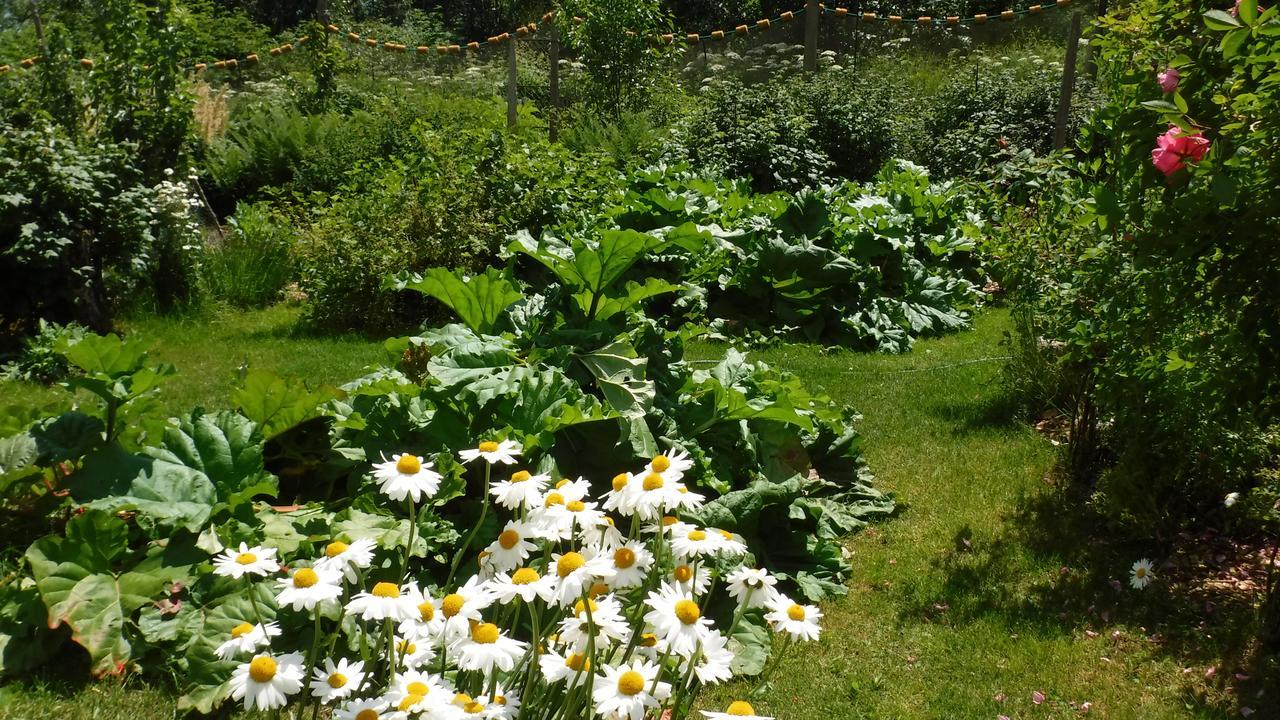 Brigitte'S Bavarian Bed Und Breakfast Millers Landing Экстерьер фото