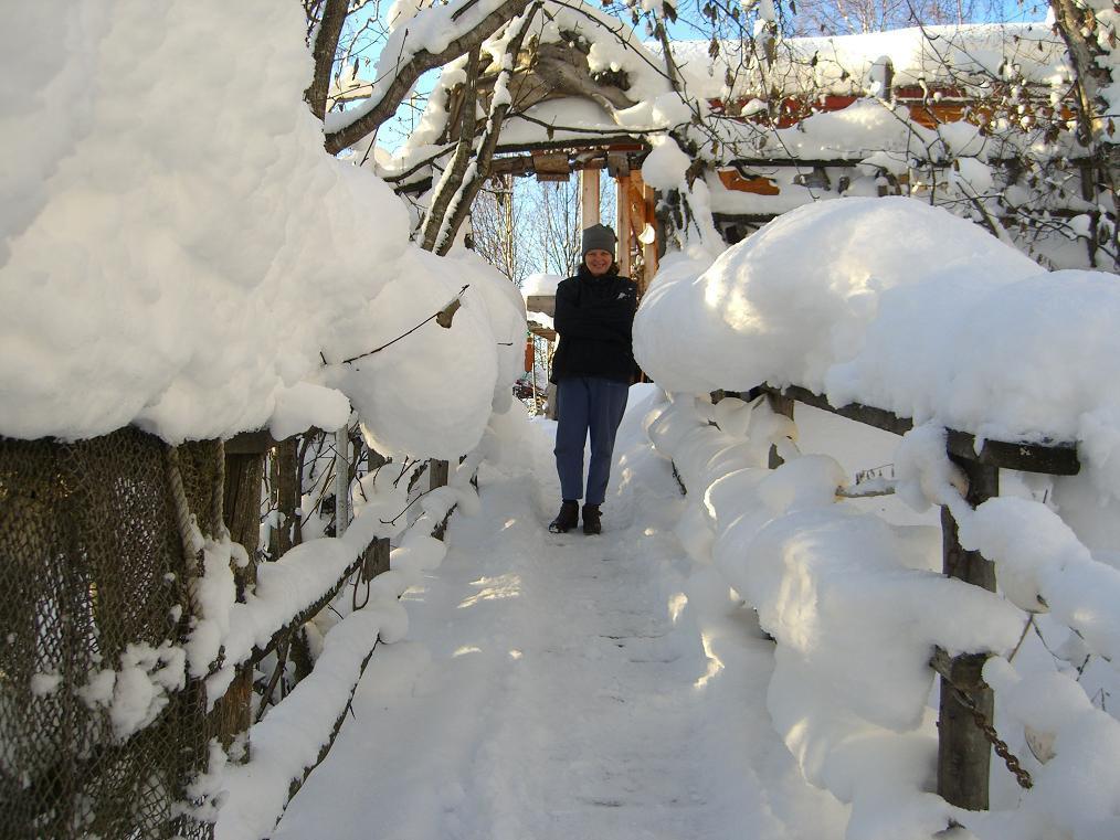 Brigitte'S Bavarian Bed Und Breakfast Millers Landing Экстерьер фото